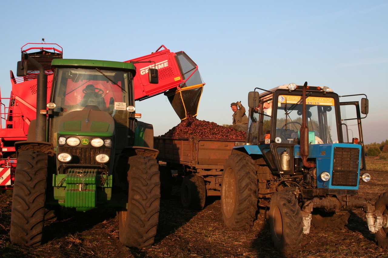 Аграрии региона собрали уже более 800 тонн картофеля