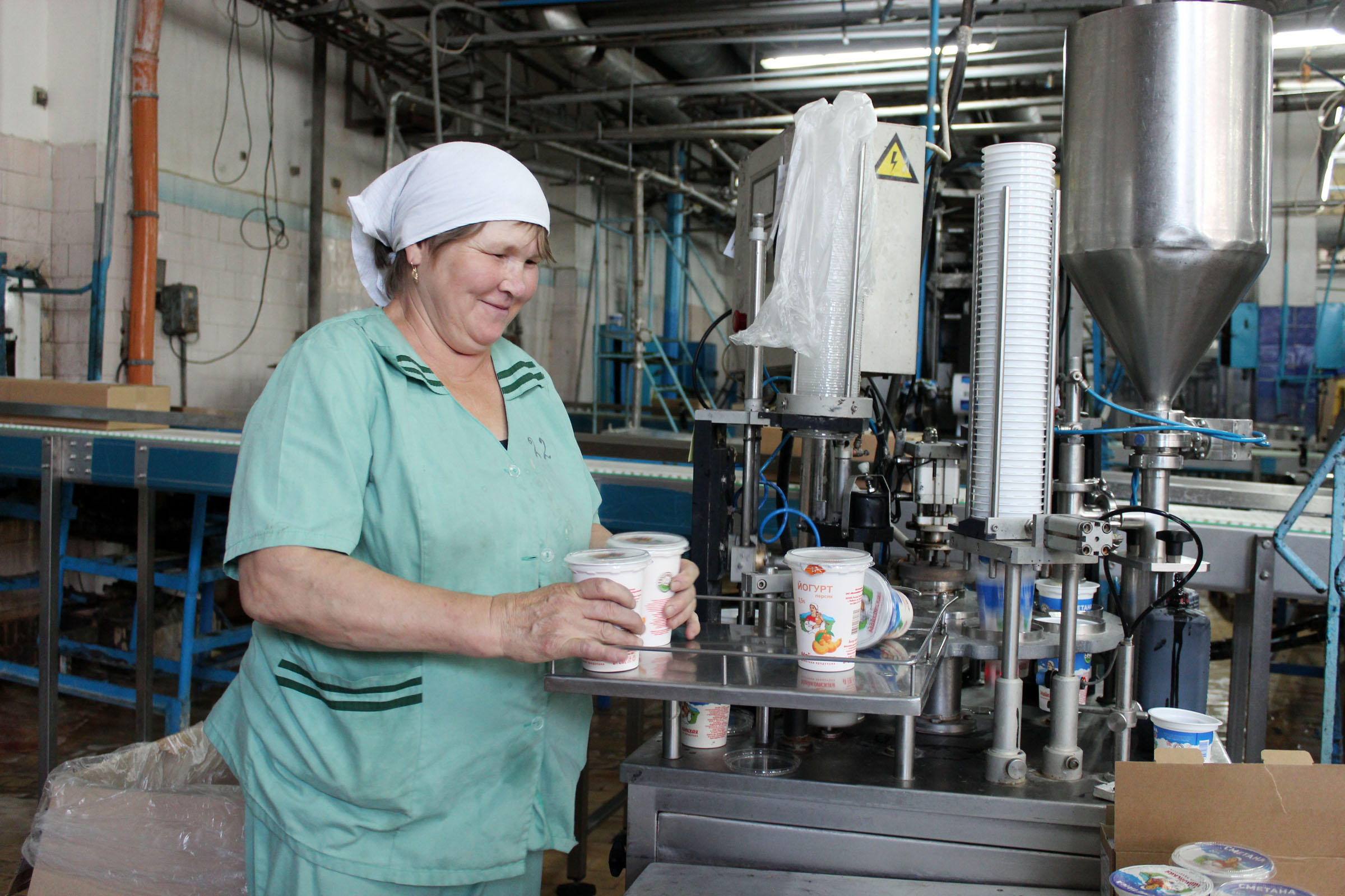 Молзавод «Адыгейский» запустил производство йогуртов