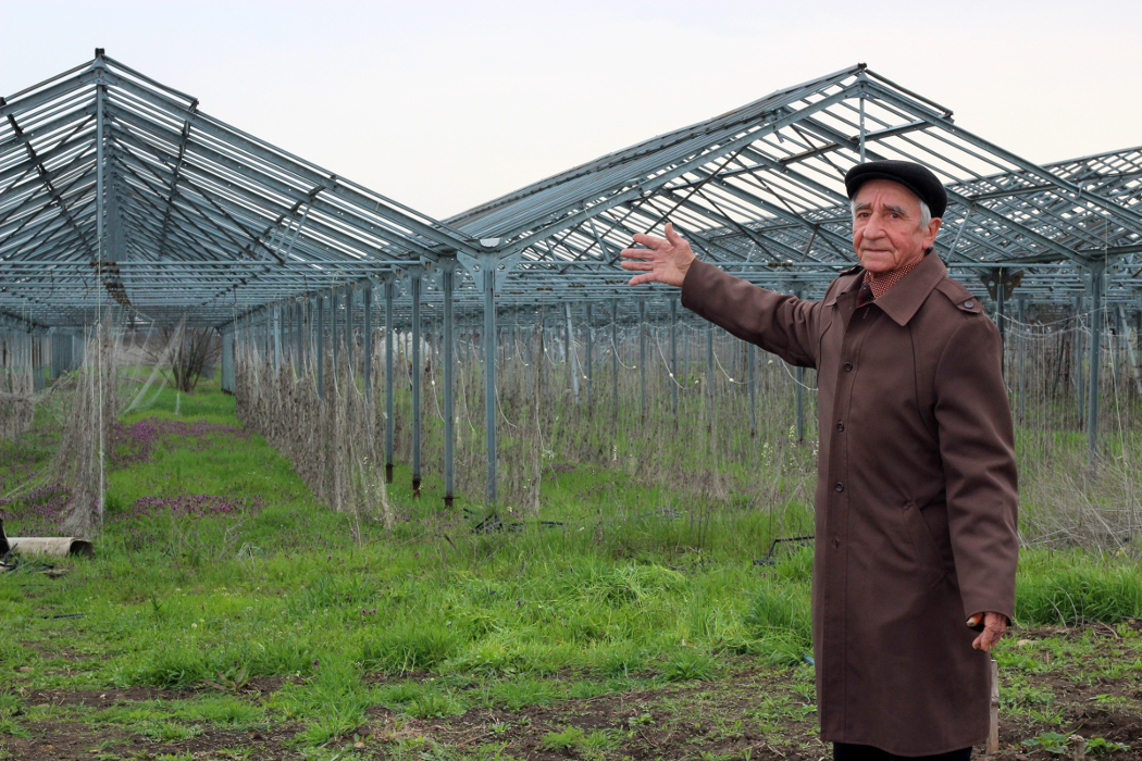 Предложение фермера из Красногвардейского района будет учтено при внесении изменений в условия федеральной программы «Начинающий фермер»