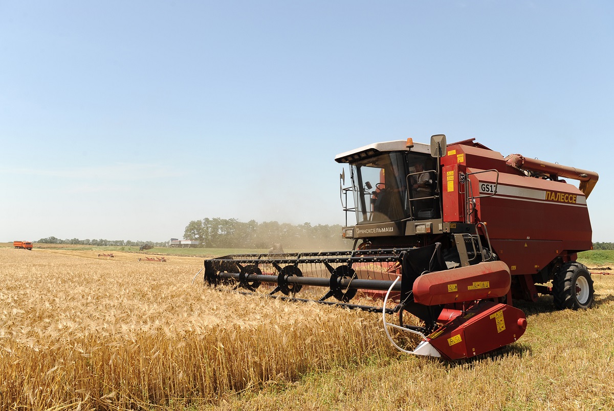 Рекордные тонны зерна соберут в этом году аграрии Адыгеи