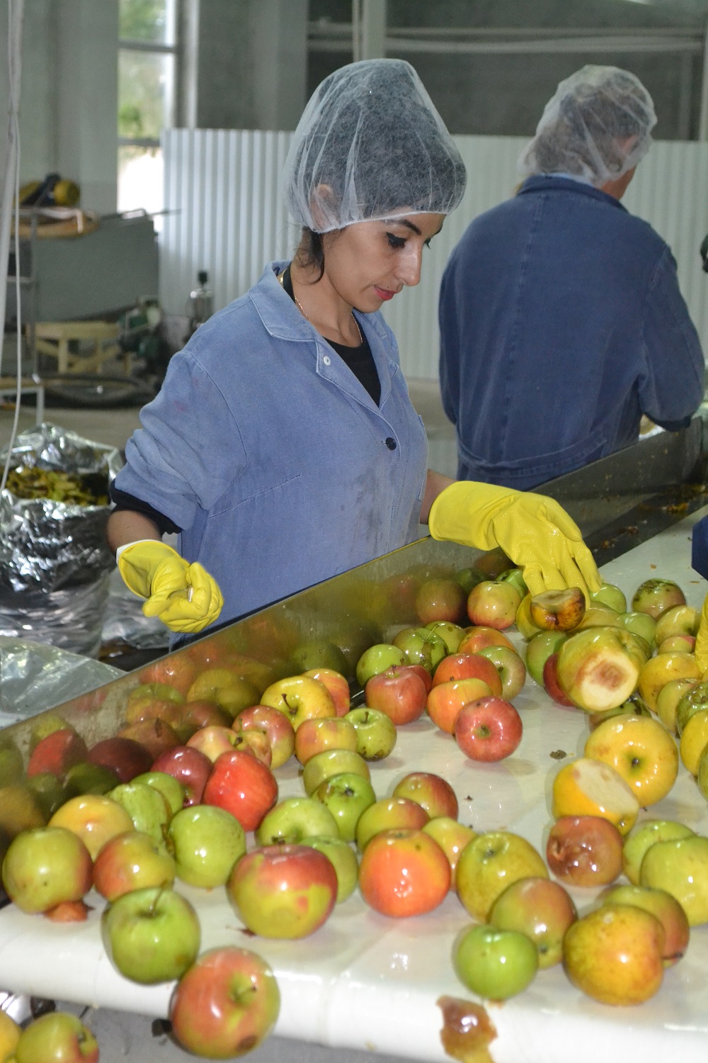 Модернизация итальянской линии по расфасовке полуфабриката  на фирме «Комплекс-Агро» позволила увеличить мощность переработки яблок с 80 до 110 тонн