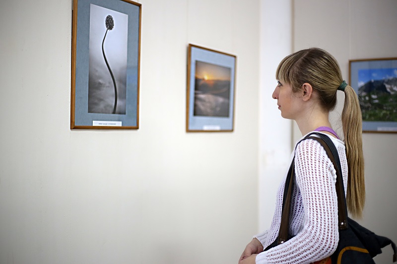 В Майкопе открылась фотовыставка «Весеннее вдохновение», на которой представлены лучшие работы местных фотохудожников за прошедший год
