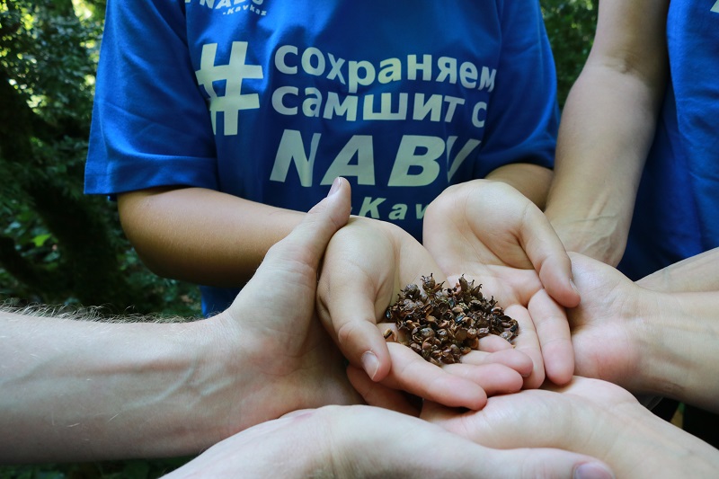 Фото пресс-служба "Набу-Кавказ"