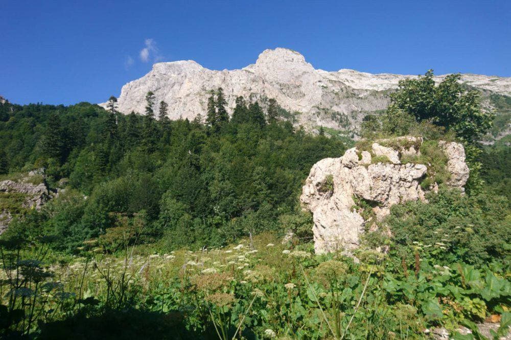 Фото Кавказский природный биосферный заповедник