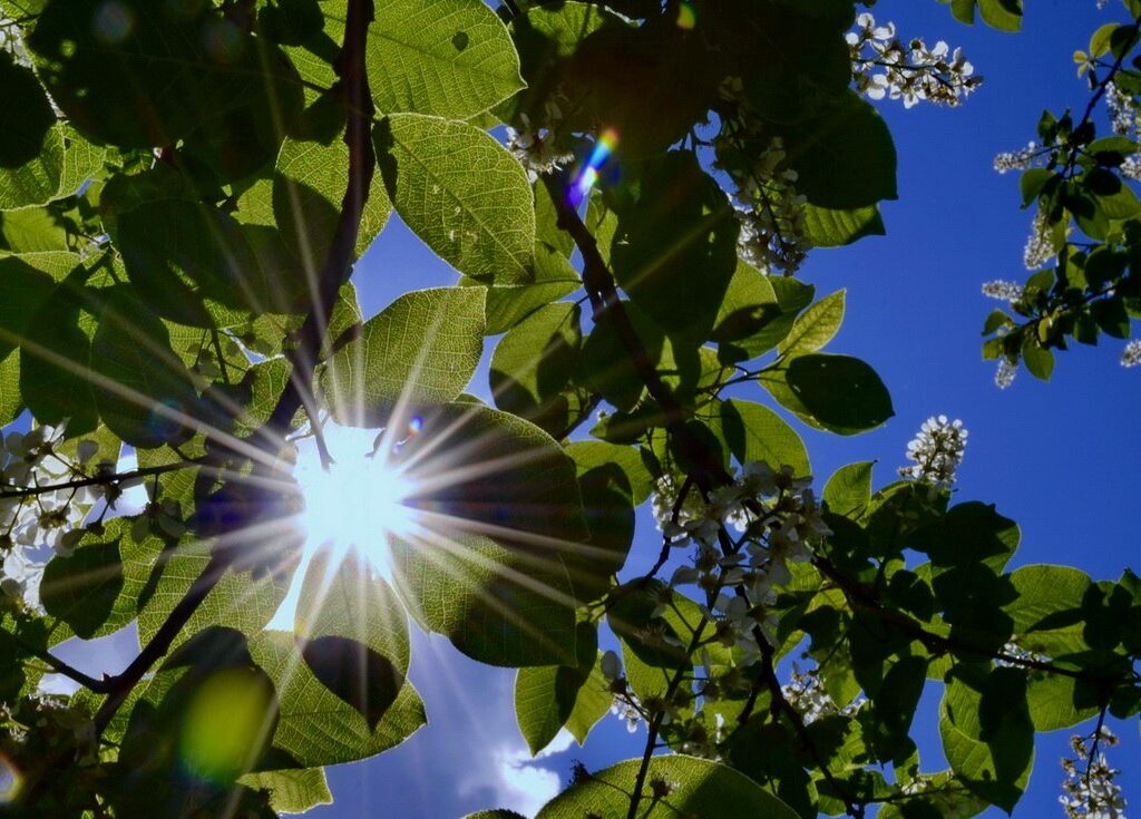 Погода май фото