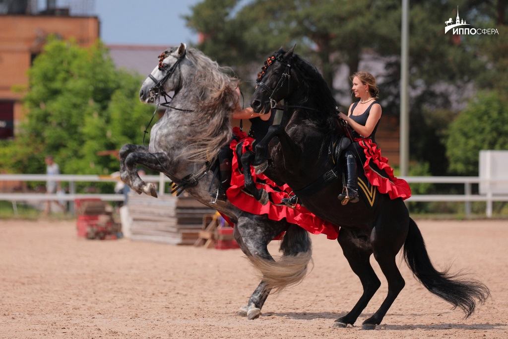 Фото: Международная конная выставка «Иппосфера-2023»